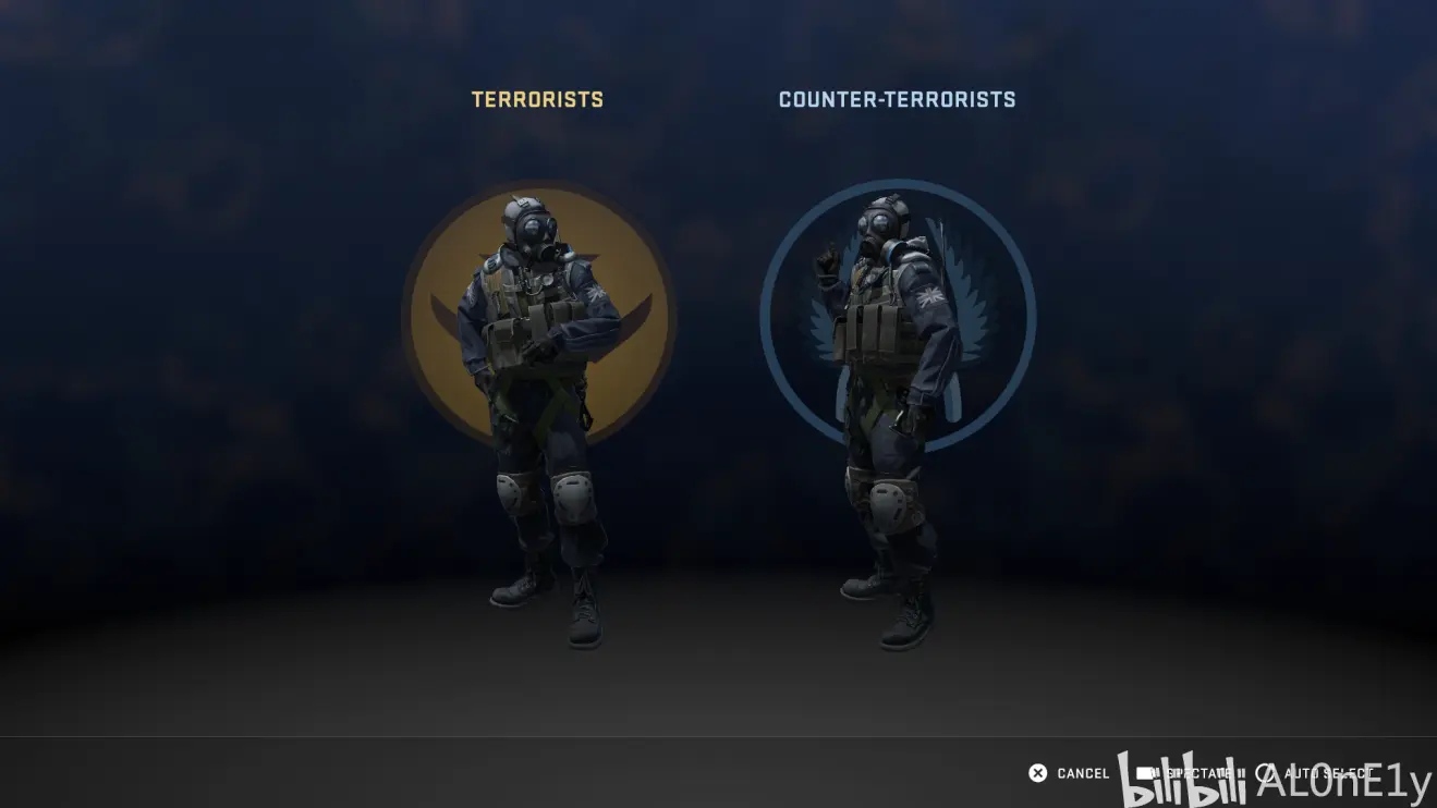 pov视角查看时，玩家未进入服务器的时候就会出现这样的图