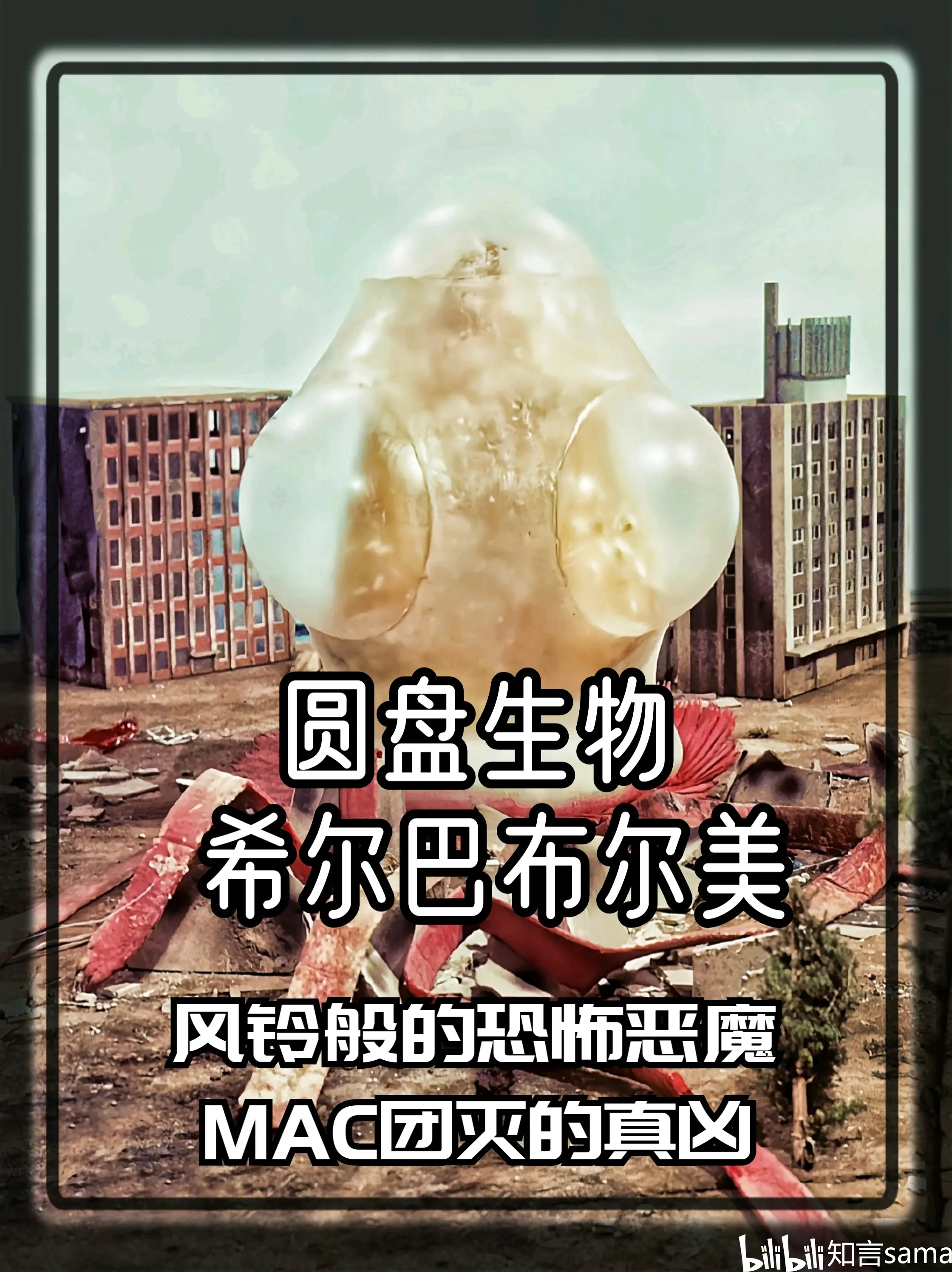 希尔巴布尔美 - 哔哩哔哩