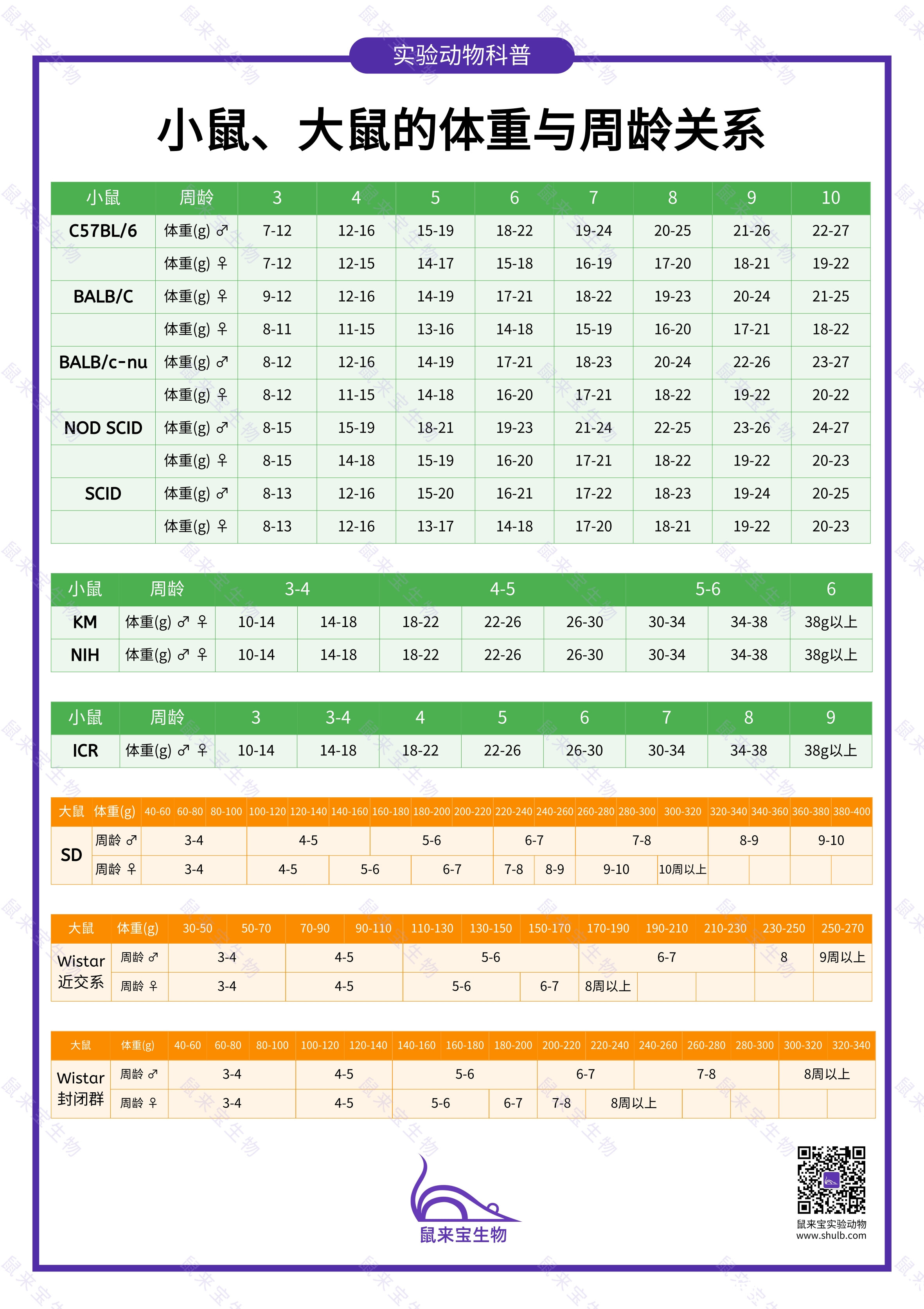 小鼠、大鼠的体重与周龄关系 - 哔哩哔哩
