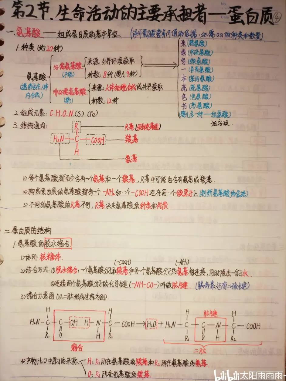 4 生命活动的主要承担者 蛋白质 哔哩哔哩