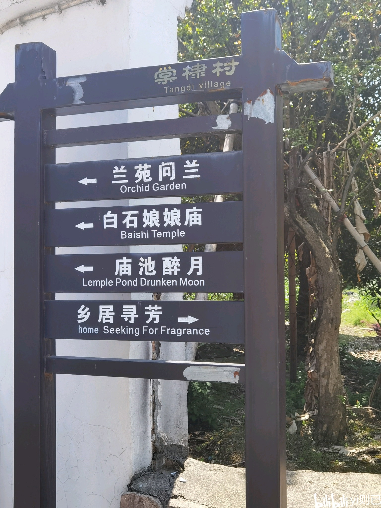 棠棣村乡村振兴调研见闻
