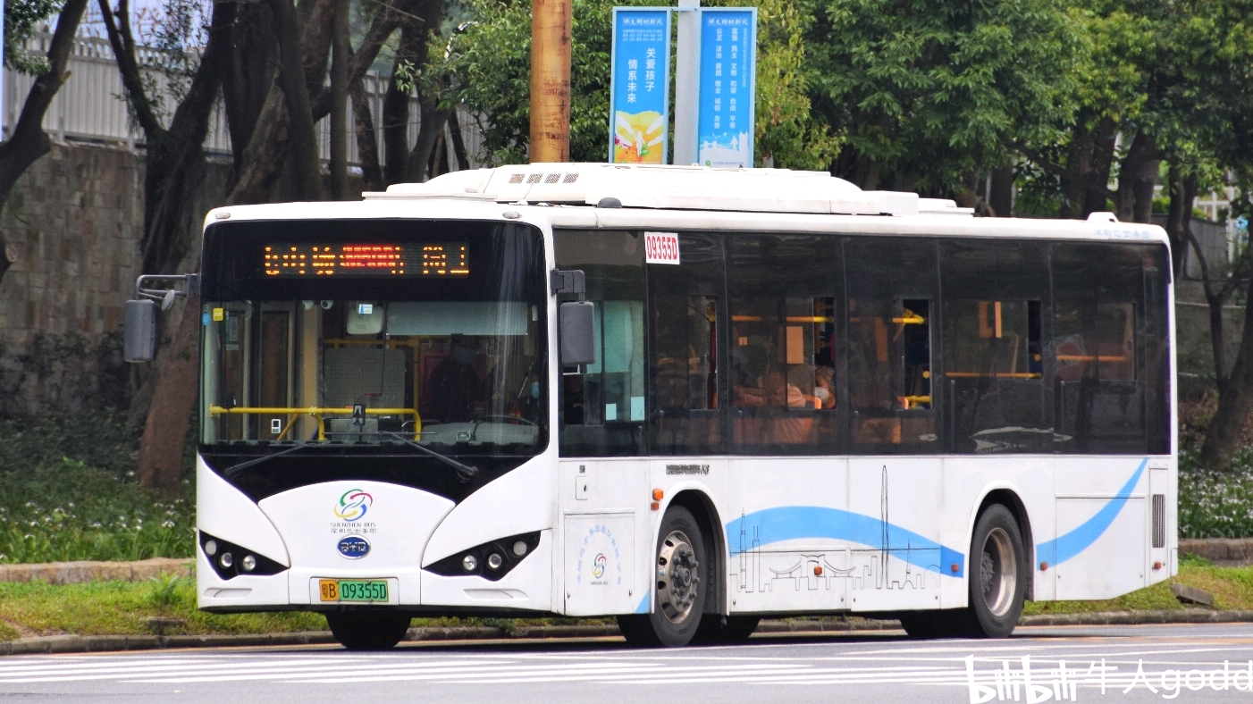 深圳公交比亞迪純電動車型不完全不嚴謹總結