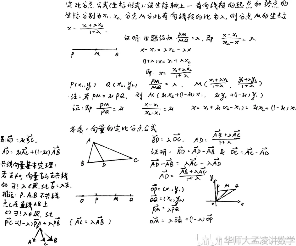 定比分点公式的各种形式 坐标形式 向量形式 面积形式 平行线与三角形面积 哔哩哔哩