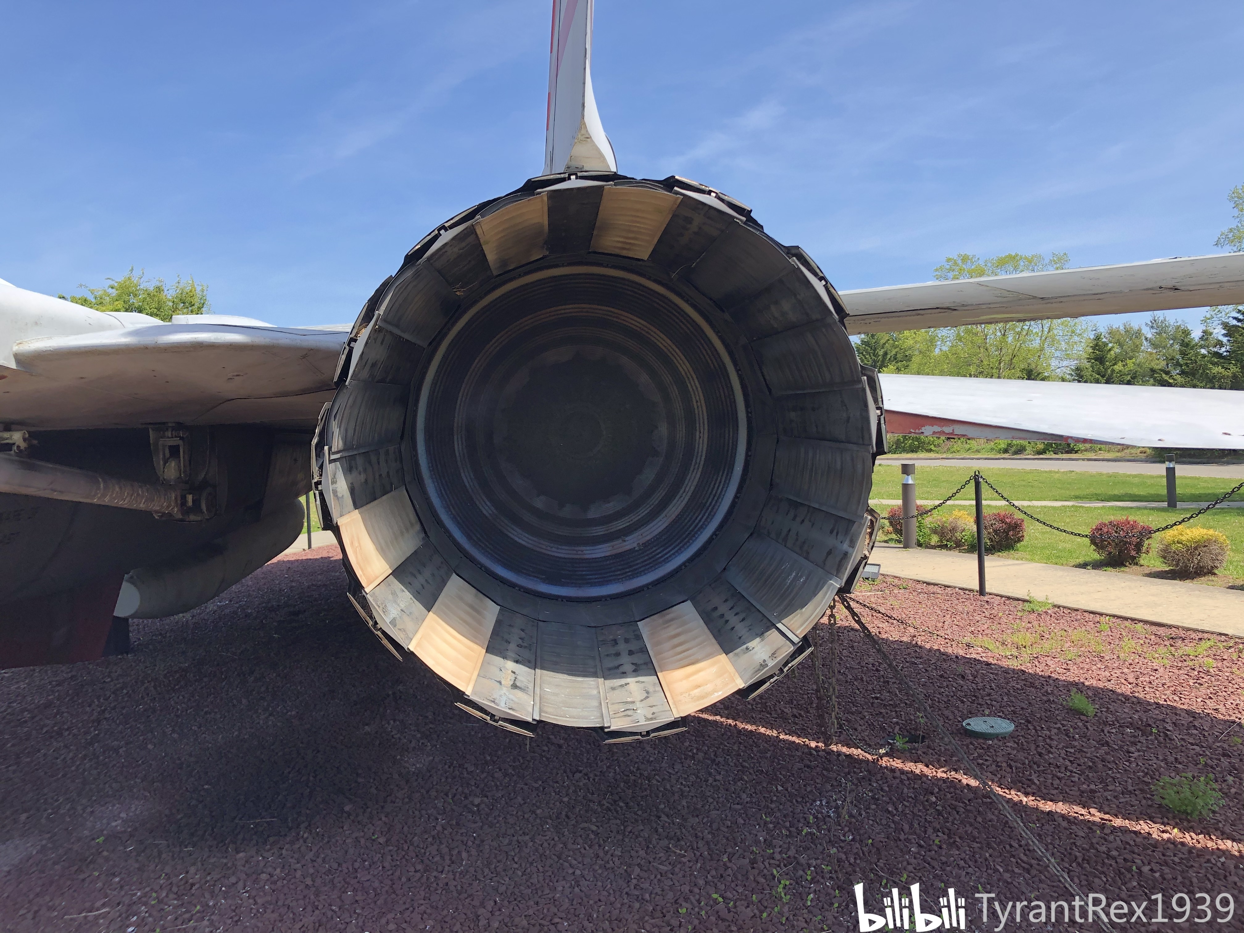 果然你也是草履虫f14战斗机