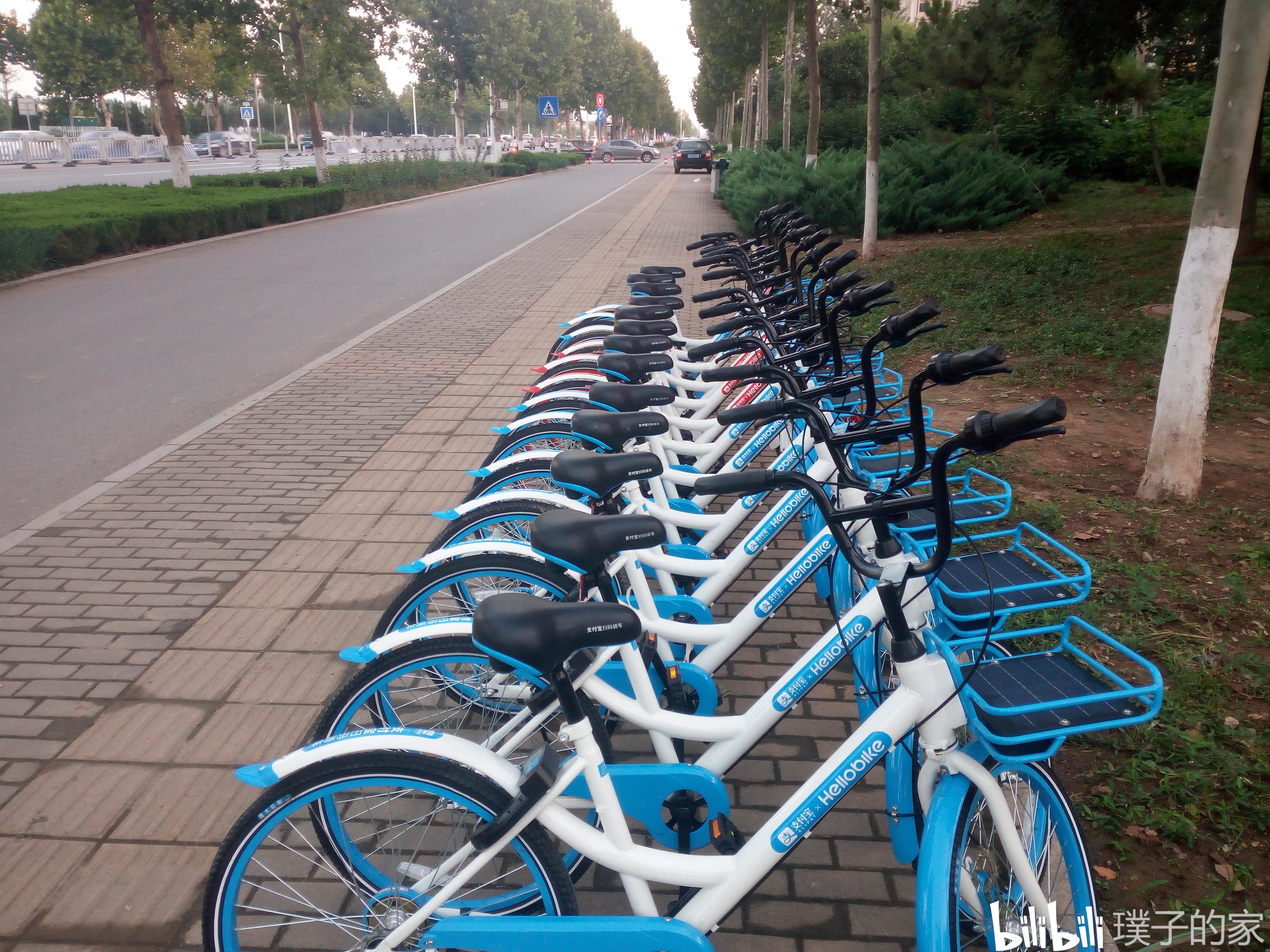 第一次见到的小蓝车,第一次哦!