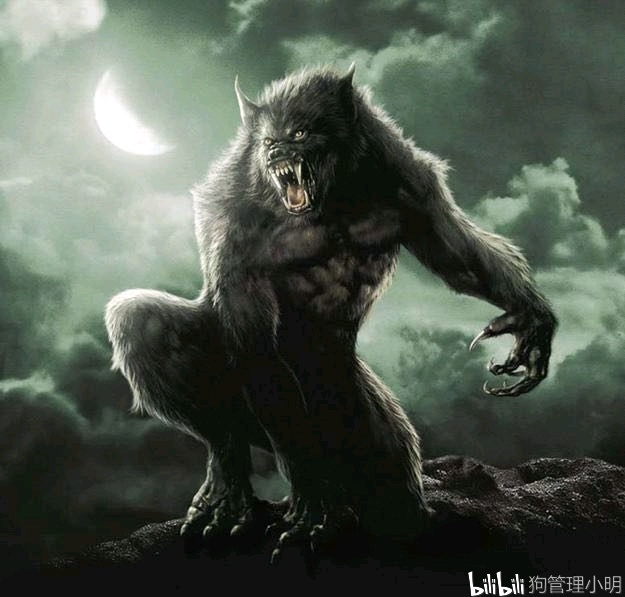 黑夜传说4狼人图片