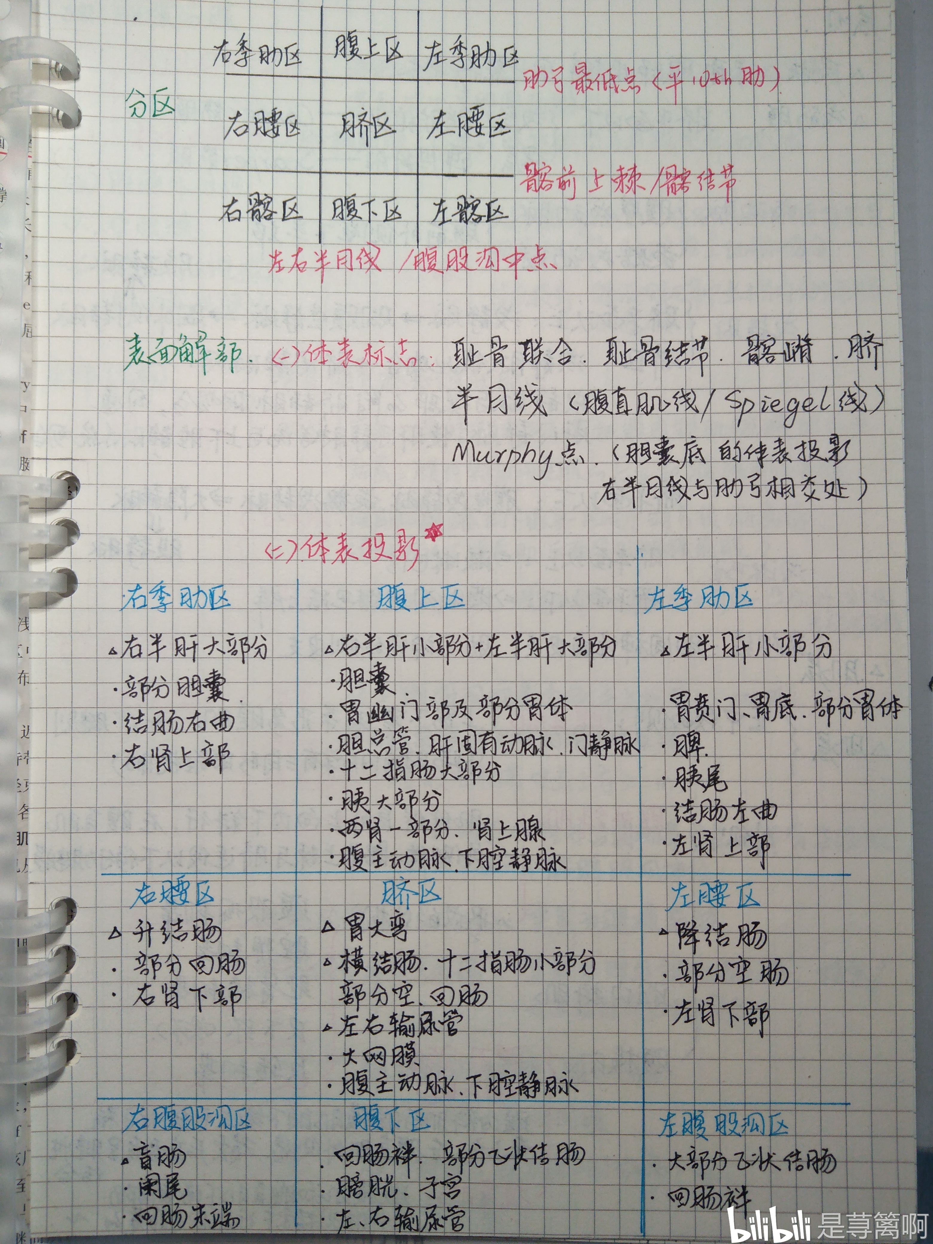 局部解剖学手写笔记腹前外侧壁胸前壁上肢无三角肌肩胛腕手