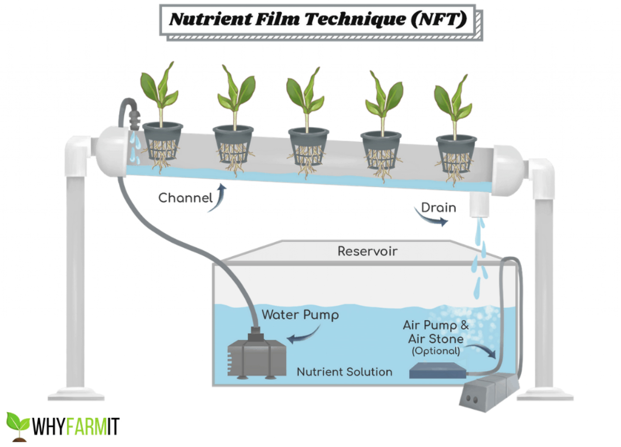 nft