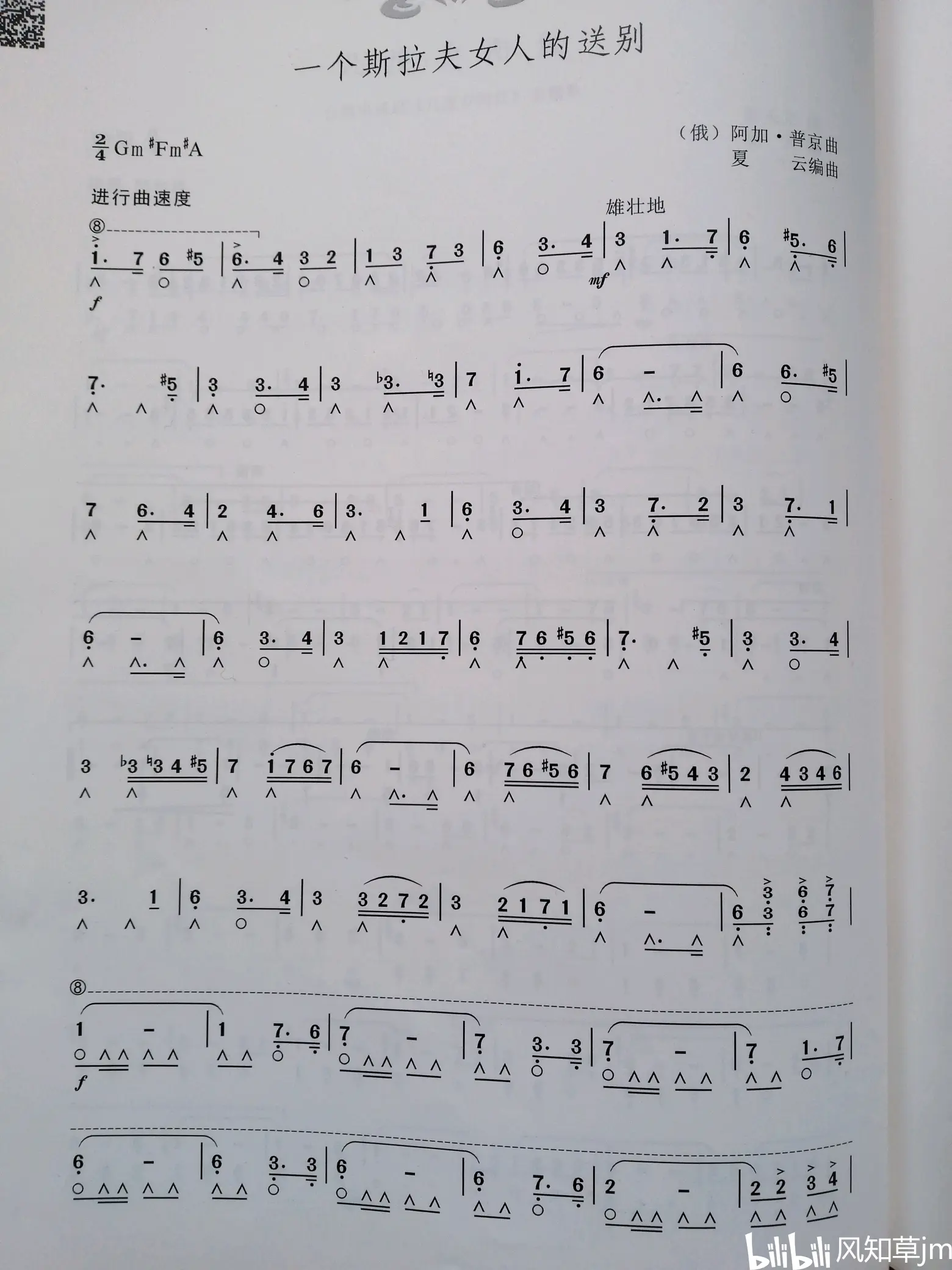 一个斯拉夫女人的告别