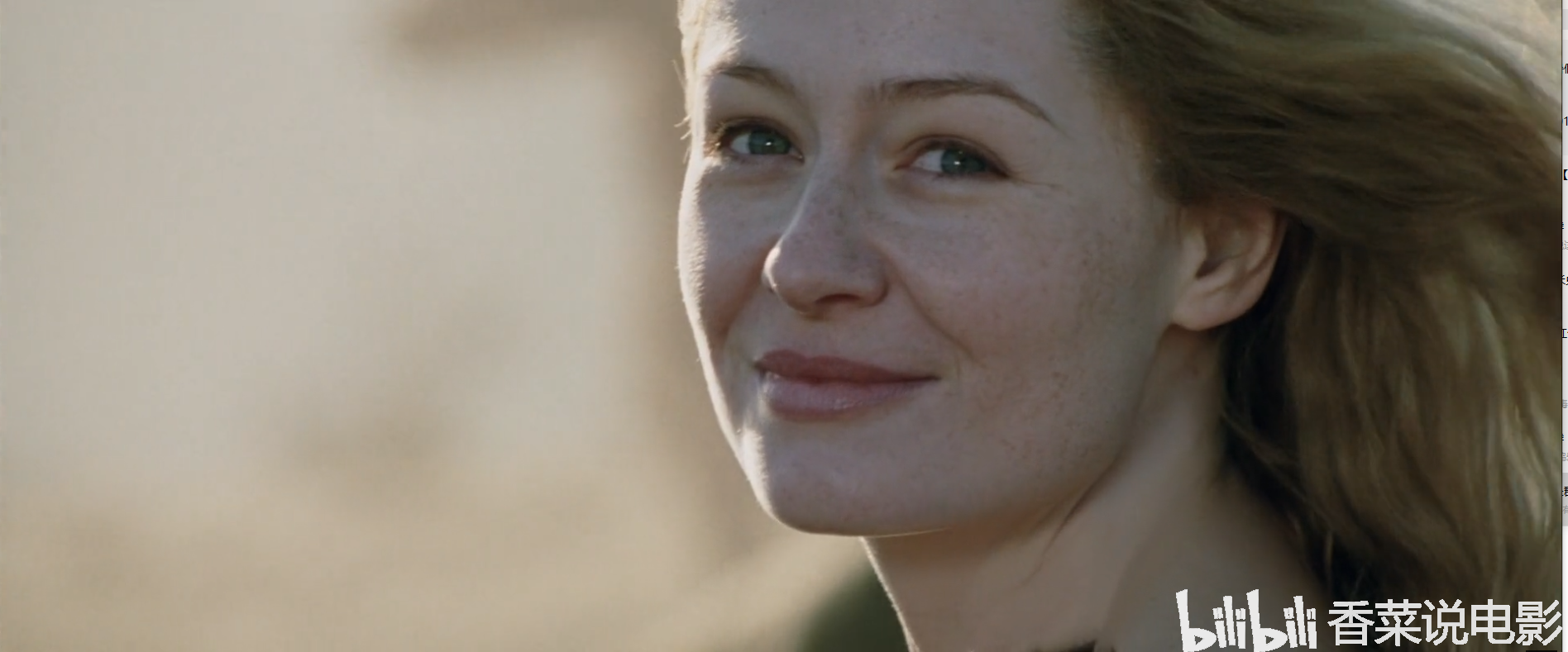 讲点《指环王》电影和小说关于洛汗剧情的不太一样的故事情节