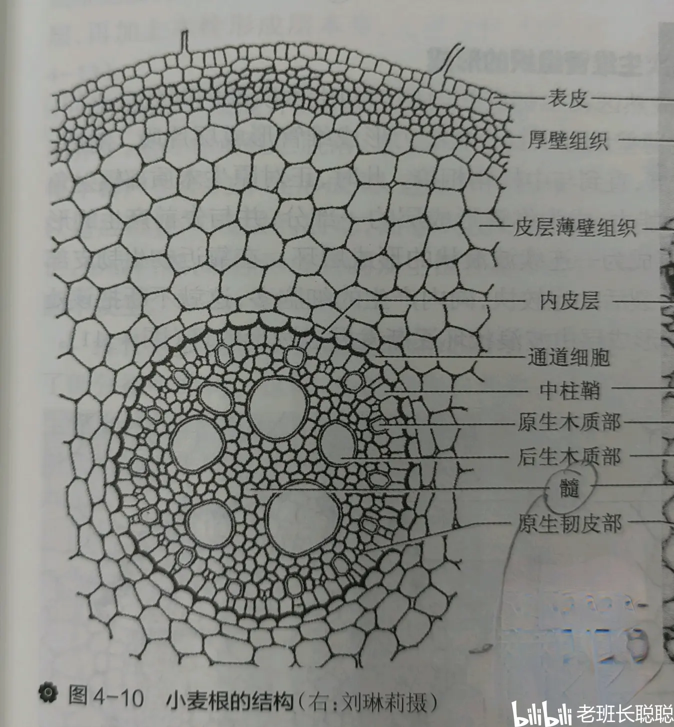 五面加厚模式图