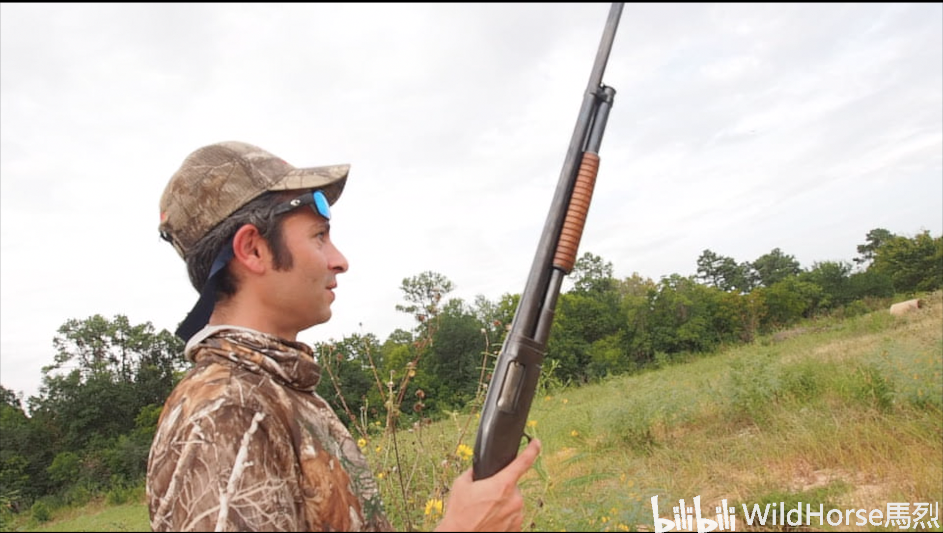 dove hunting德州红脖子的猎斑鸠