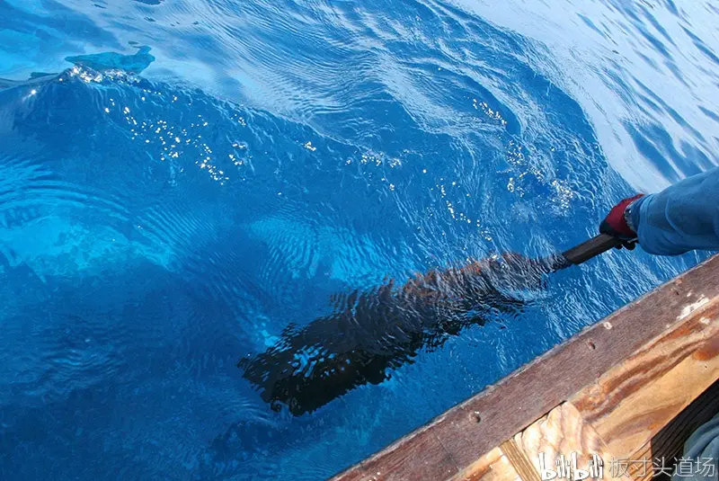 冲绳古武道介绍 櫂iyeku 剑非剑 刀非刀 哔哩哔哩