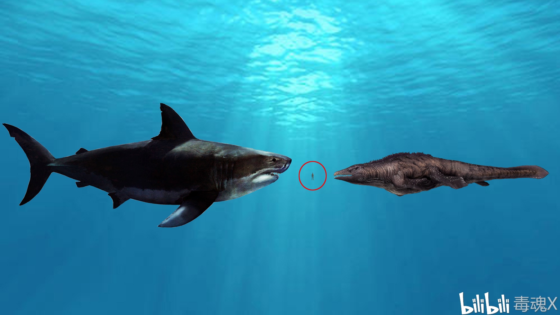血刃巨齿鲨与方舟沧龙及玩家(红圈)的体型对比