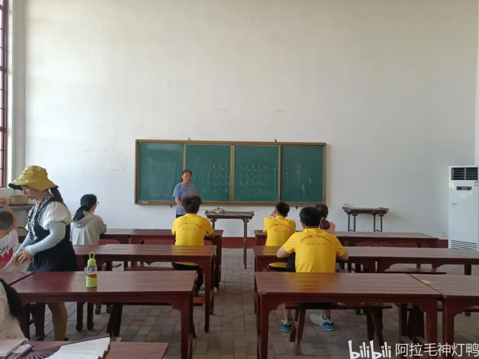 深山娟秀字 女书绽芳华 哔哩哔哩