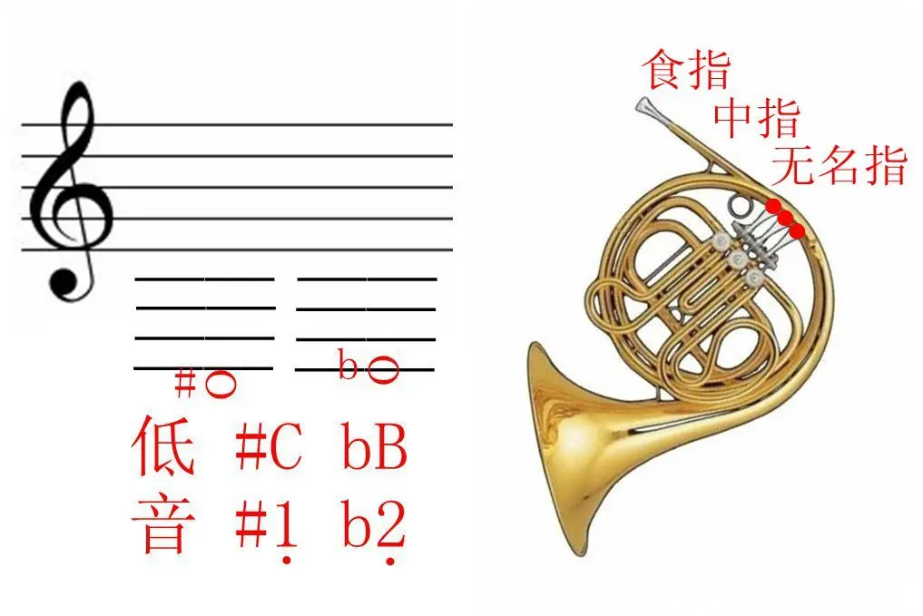 f调圆号低音升降指法图,指法表