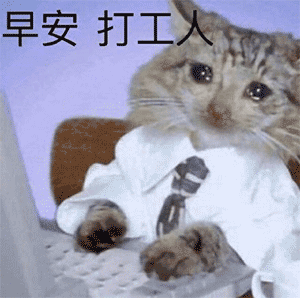 300_298gif 动态图 动图