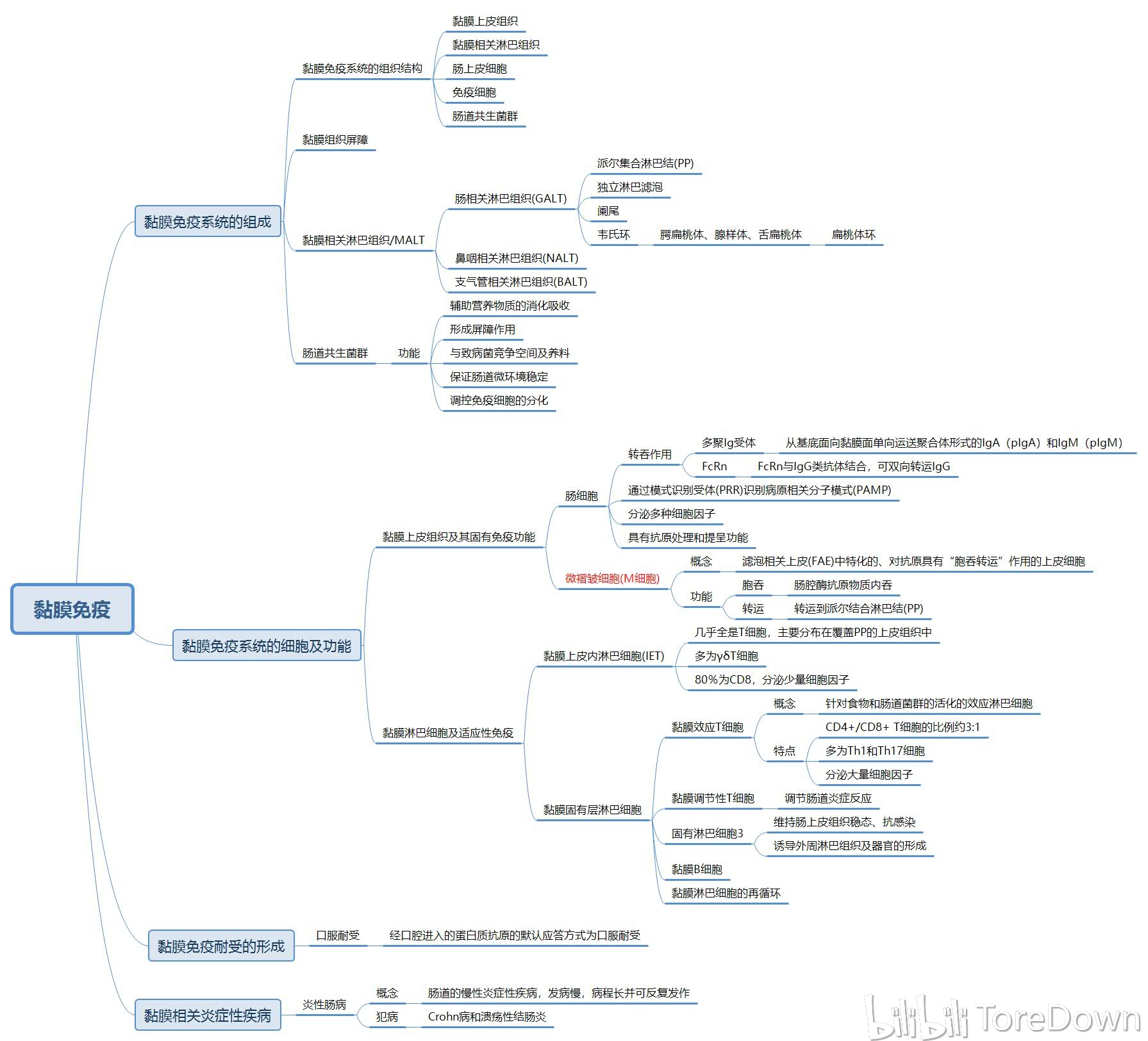 醫學免疫學(下篇) 思維導圖