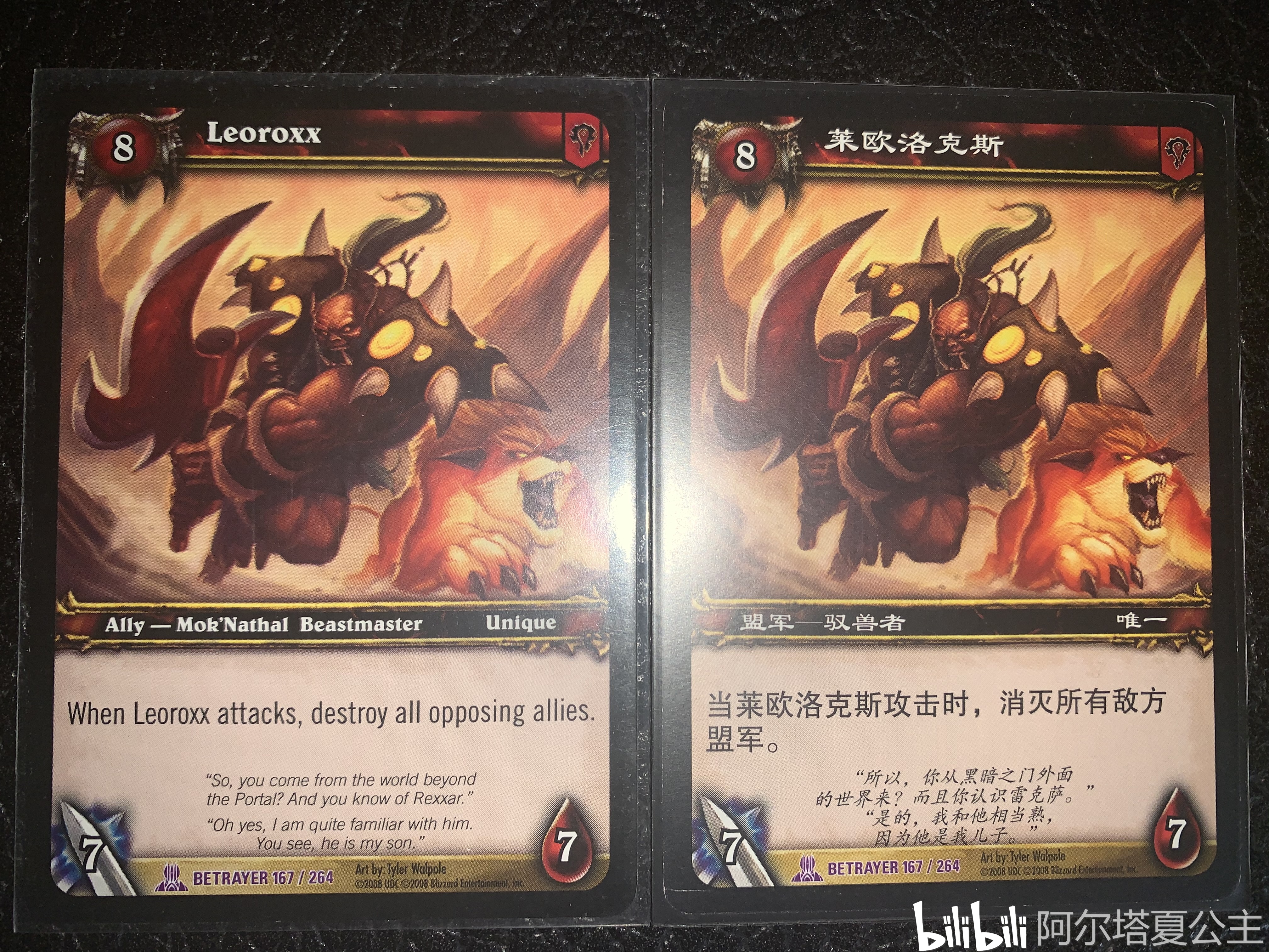 wowtcg 魔獸卡牌裡的魔獸世界(五)