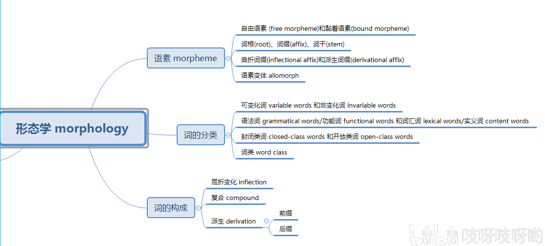 高中英语教资笔记/形态学思维导图
