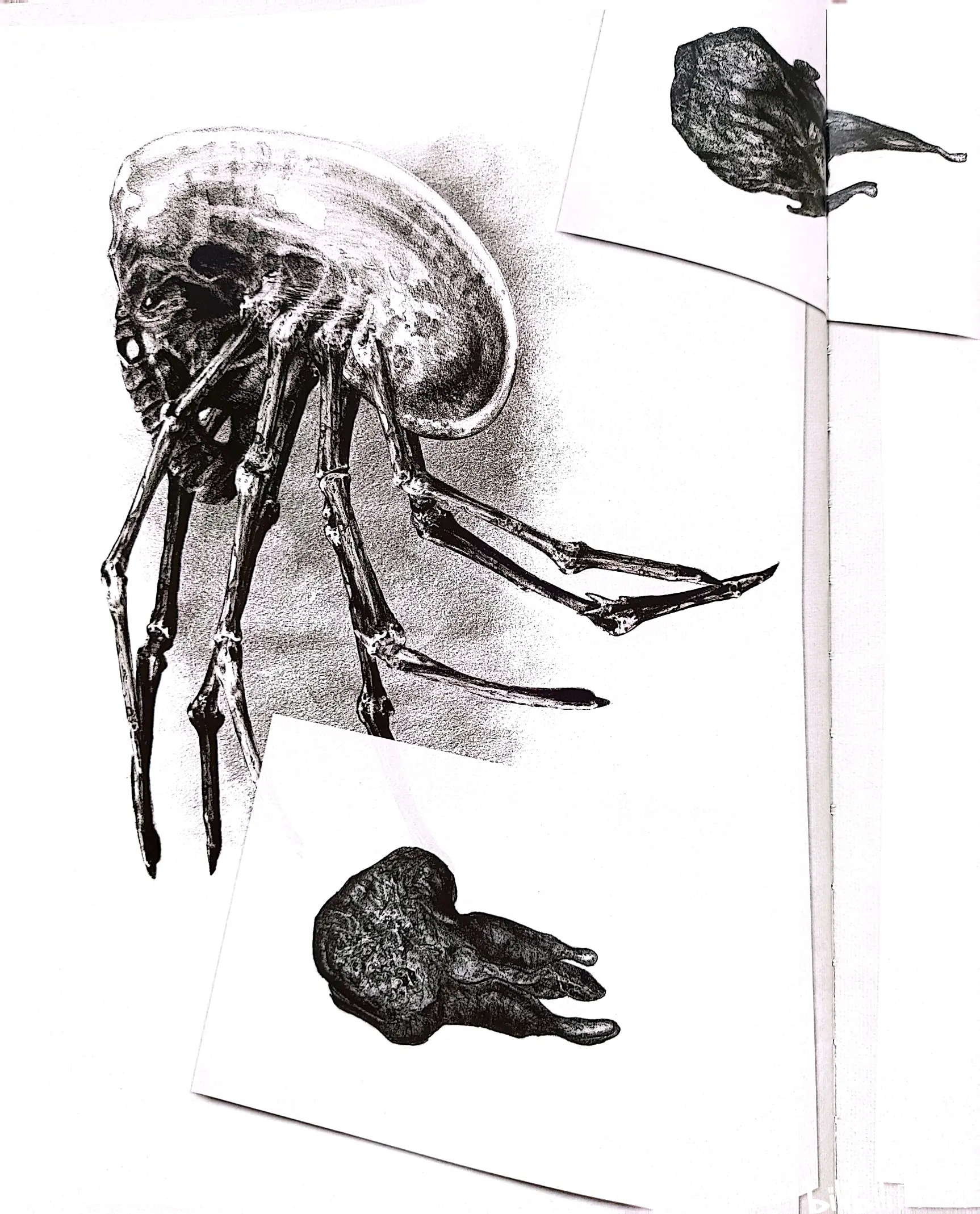 《异形》大卫手稿 赏析 - 上