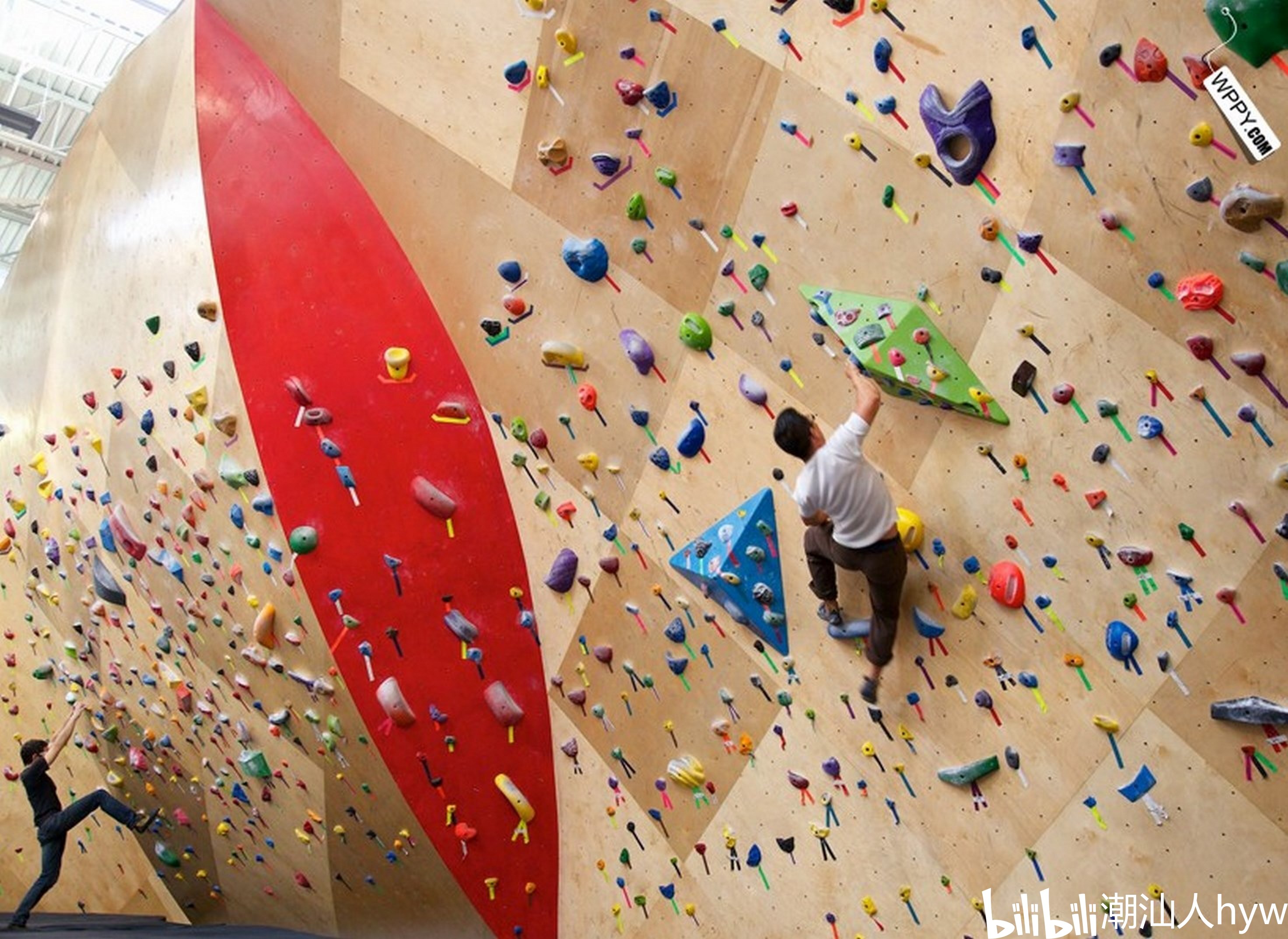 brooklyn boulders coworking space features towering rock climbin