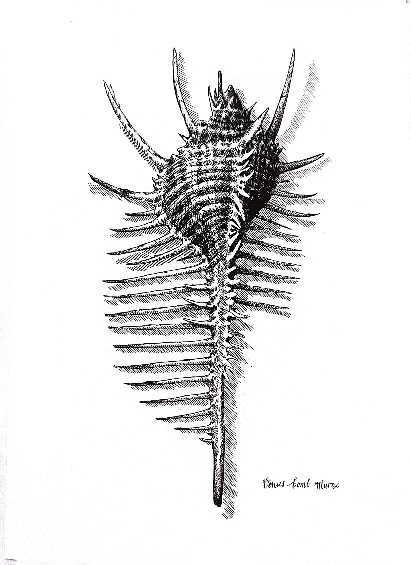 《异形》大卫手稿 赏析 - 上