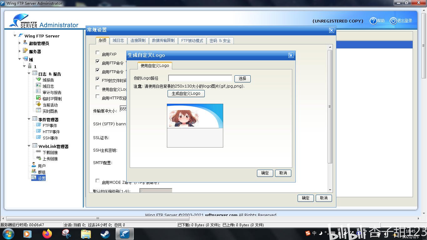 Wing FTP的安装实践 哔哩哔哩