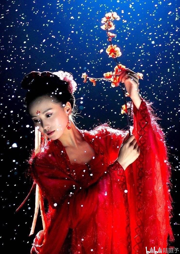 红梅花下如果若曦就是纯元皇后视角