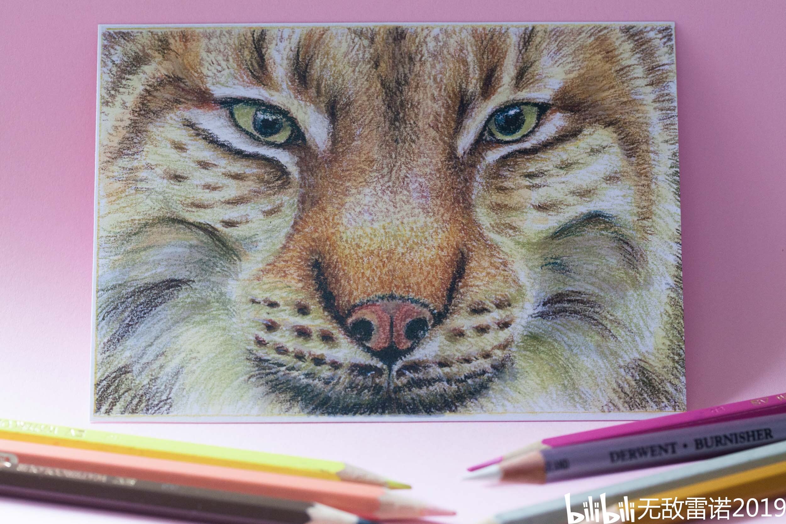 【彩铅】手绘明信片——十大神兽(大猫与大狗)