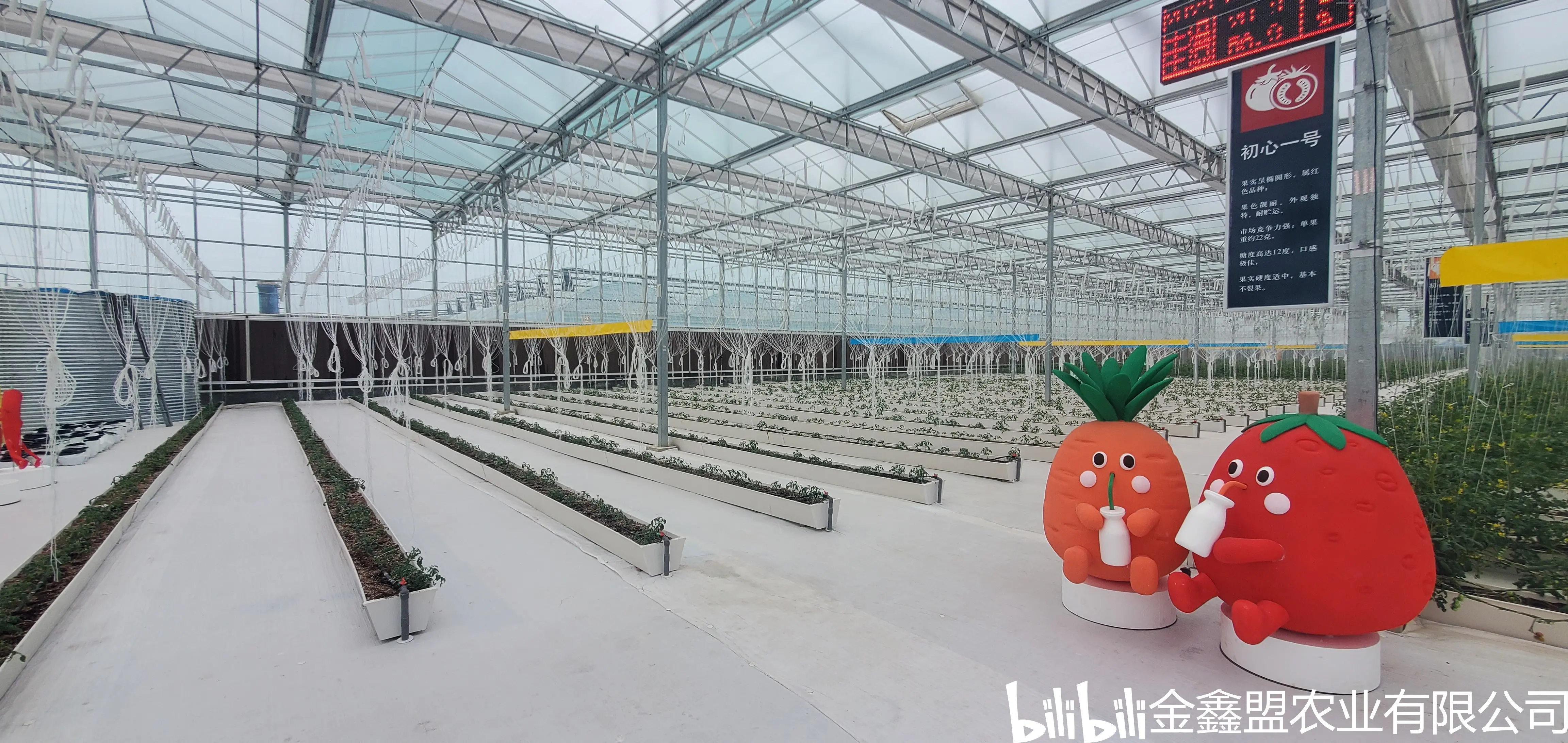 现代化玻璃温室大棚具有哪些优势? - 哔哩哔哩