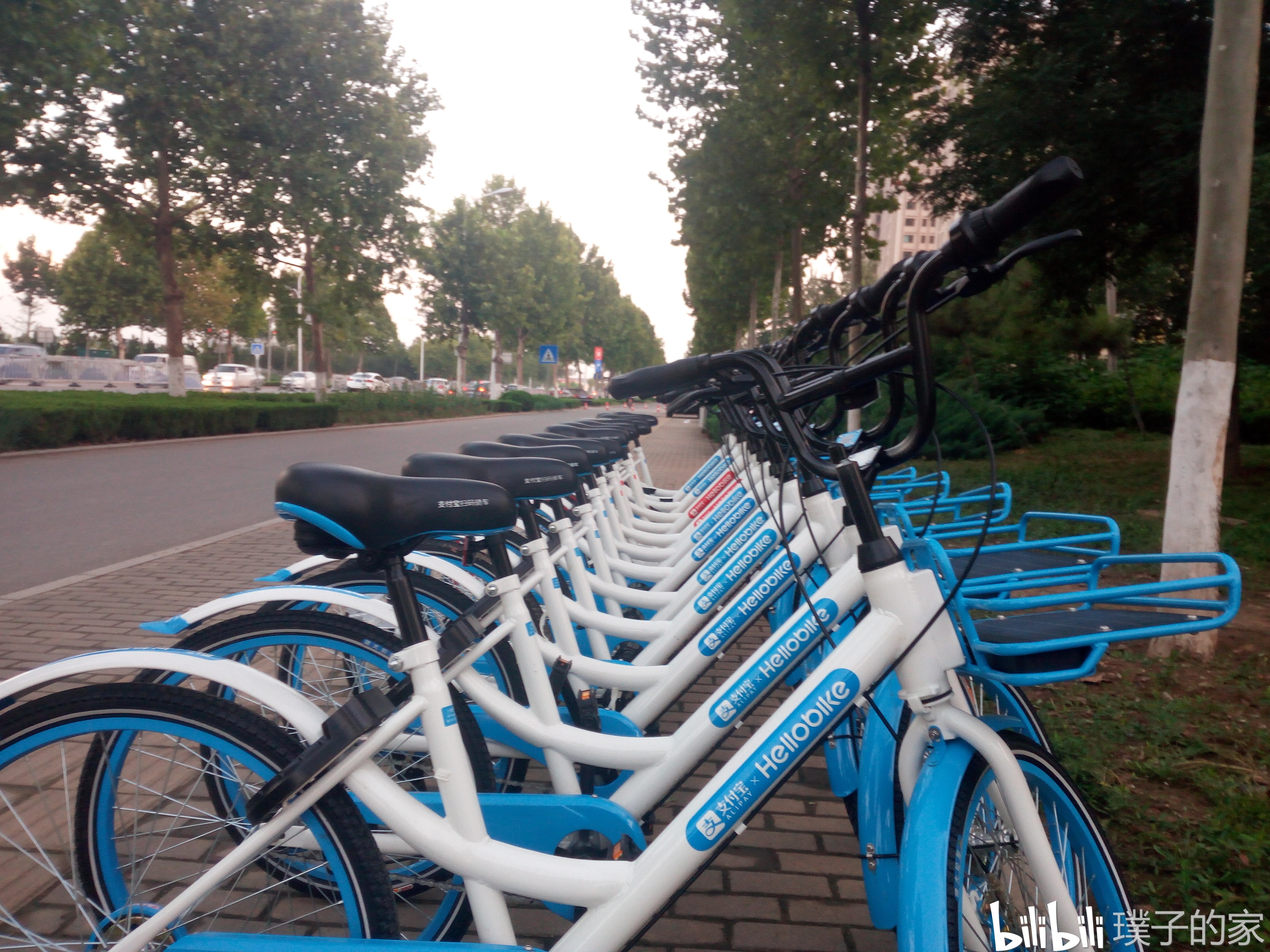 第一次见到的小蓝车,第一次哦!