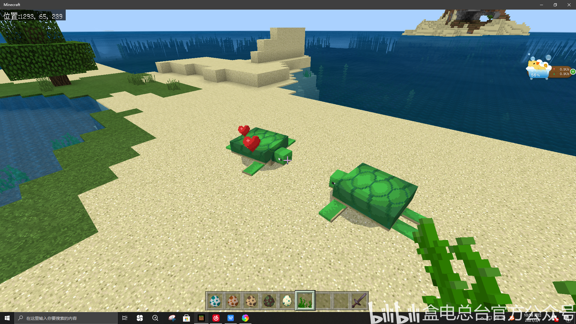 海龟的繁殖