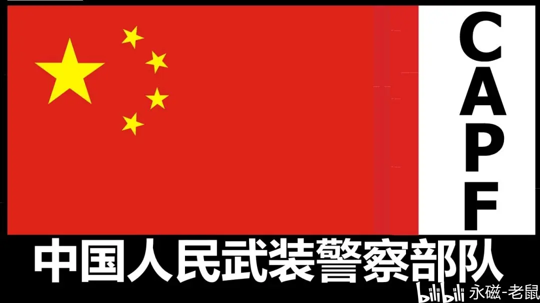 姓名牌,臂章中国人民武装警察部队2007式警种胸标中国人民武装警察