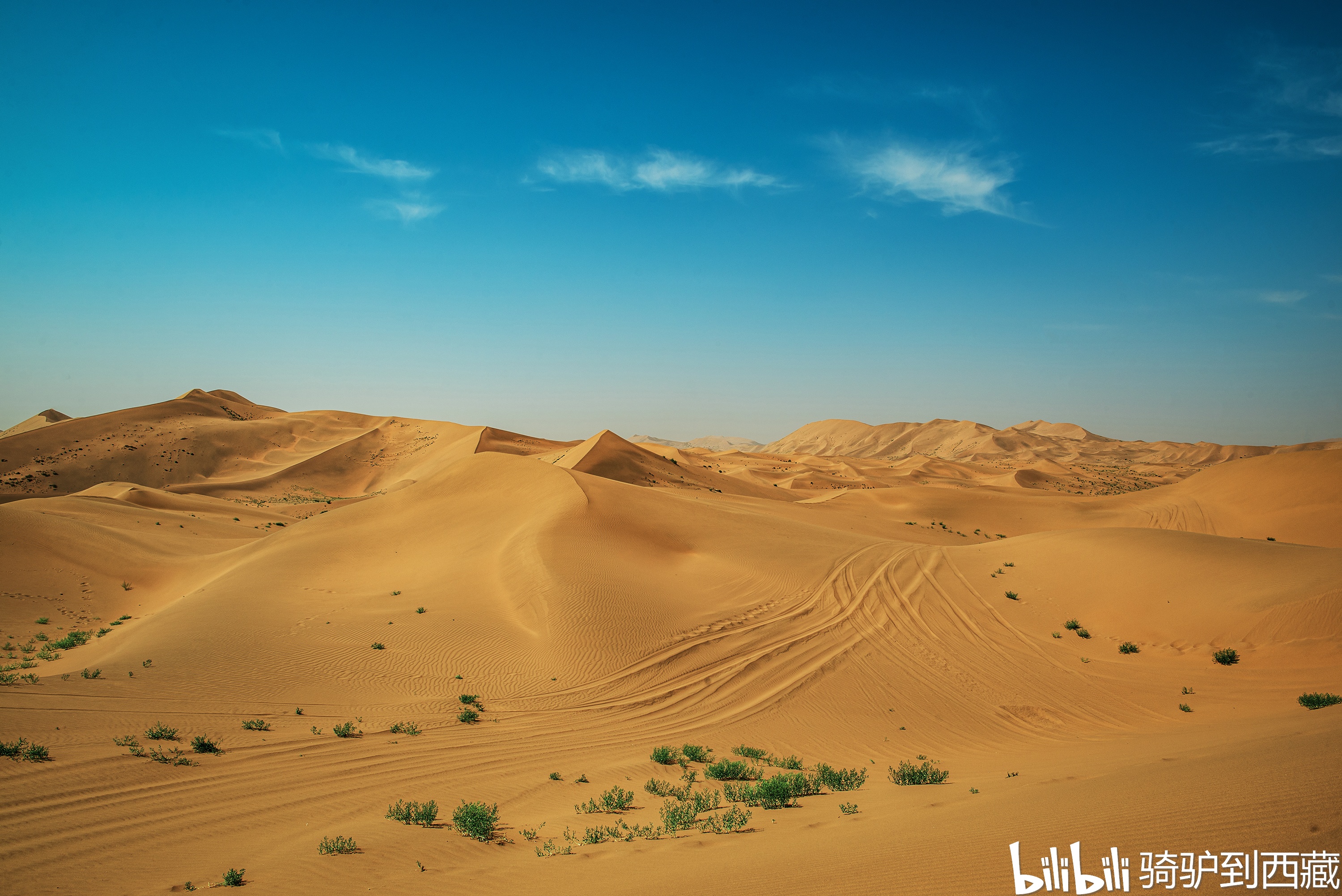 巴丹吉林沙漠中那一片让我魂牵梦绕的粉红色海子