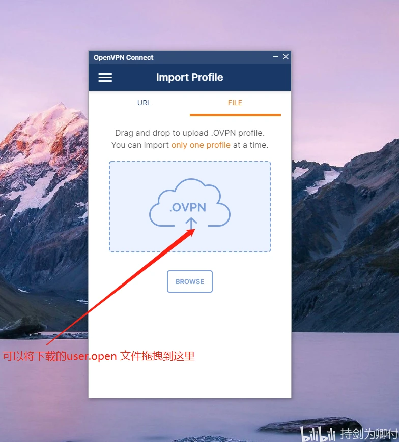 Openvpn 