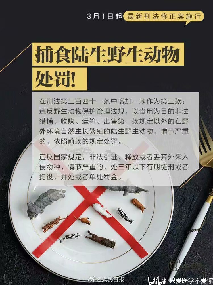 本文禁止转载或摘编 -- -- --           分享到: 投诉或建议 评论