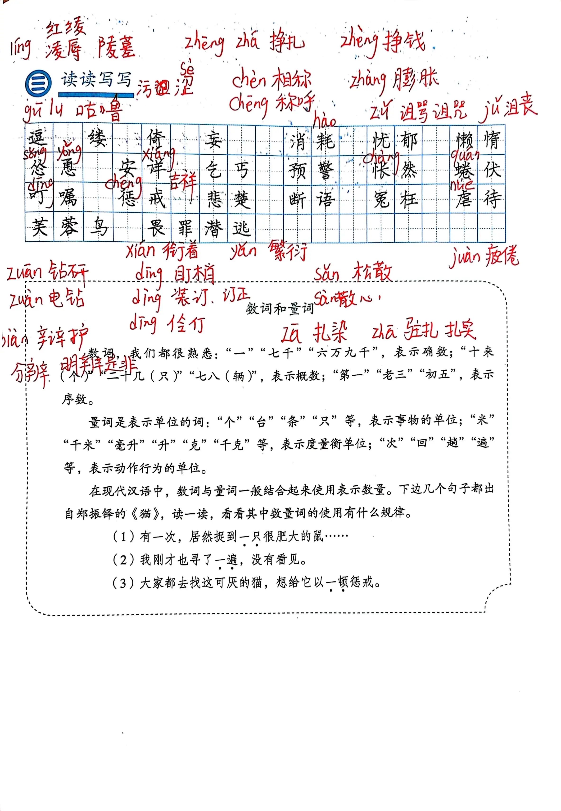 16课猫的笔记图片图片