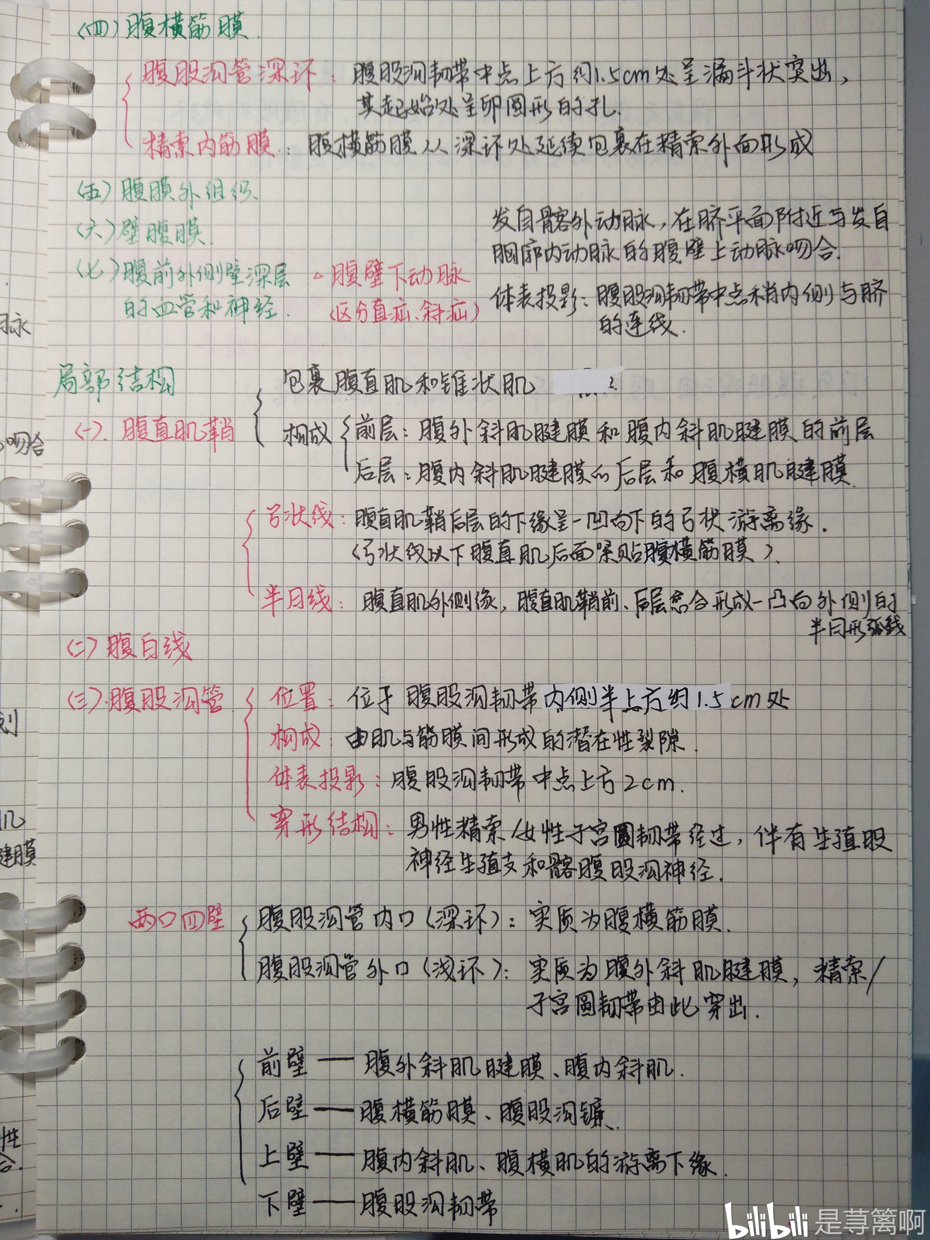 局部解剖学手写笔记腹前外侧壁胸前壁上肢无三角肌肩胛腕手