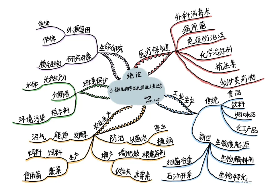 微生物学教程 绪论 思维导图 哔哩哔哩