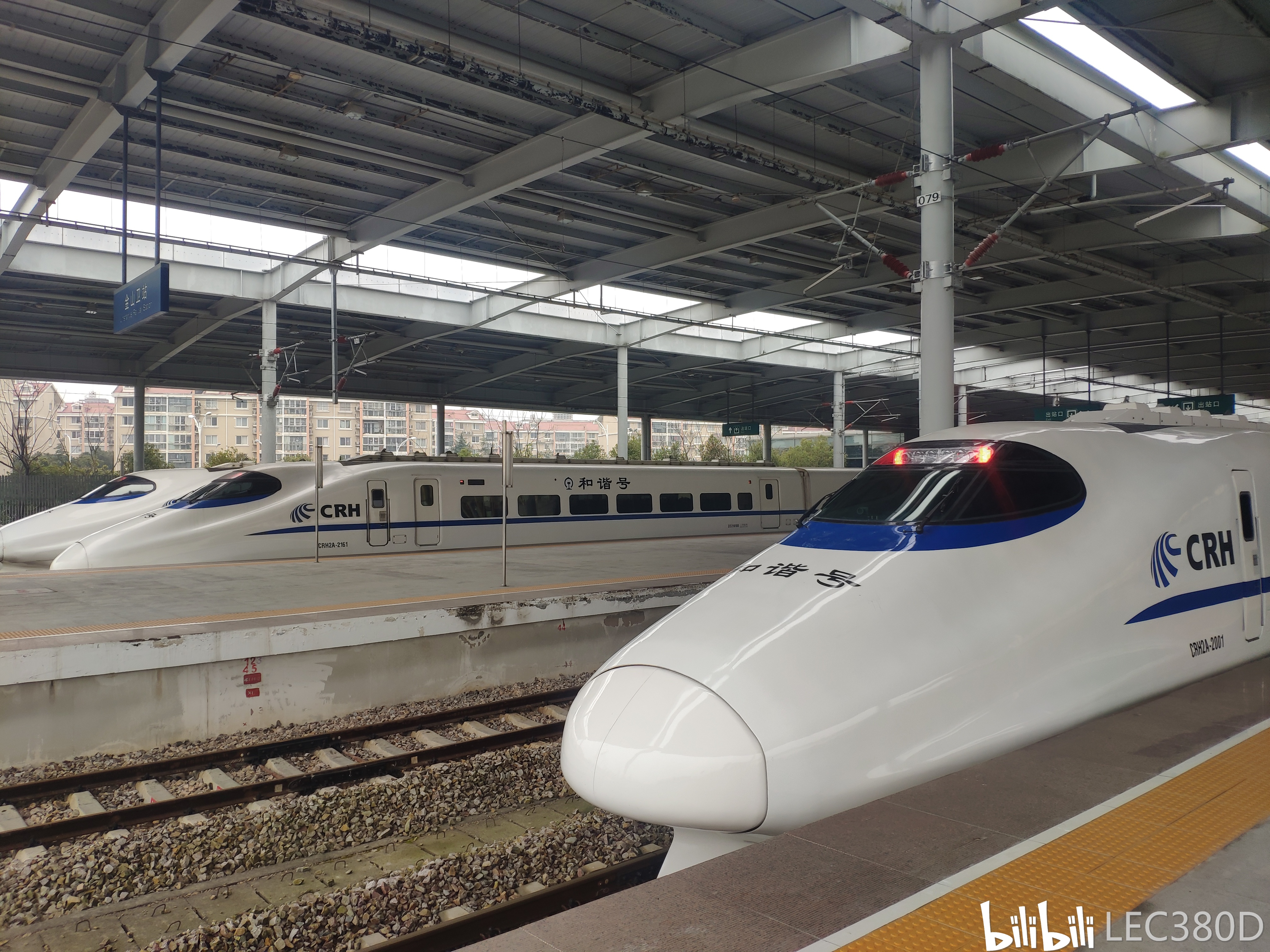 crh2a-2001纯正进口鱼王