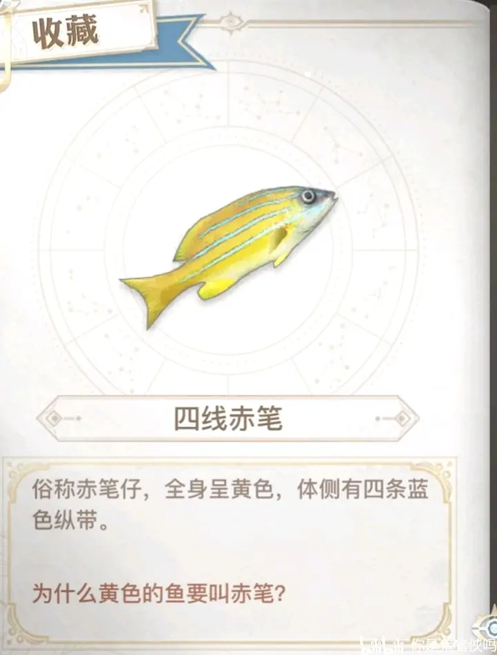 天谕手游汐愿之海关于鱼的详细介绍 哔哩哔哩