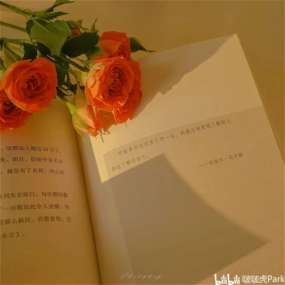 暖色系的高清壁纸 哔哩哔哩