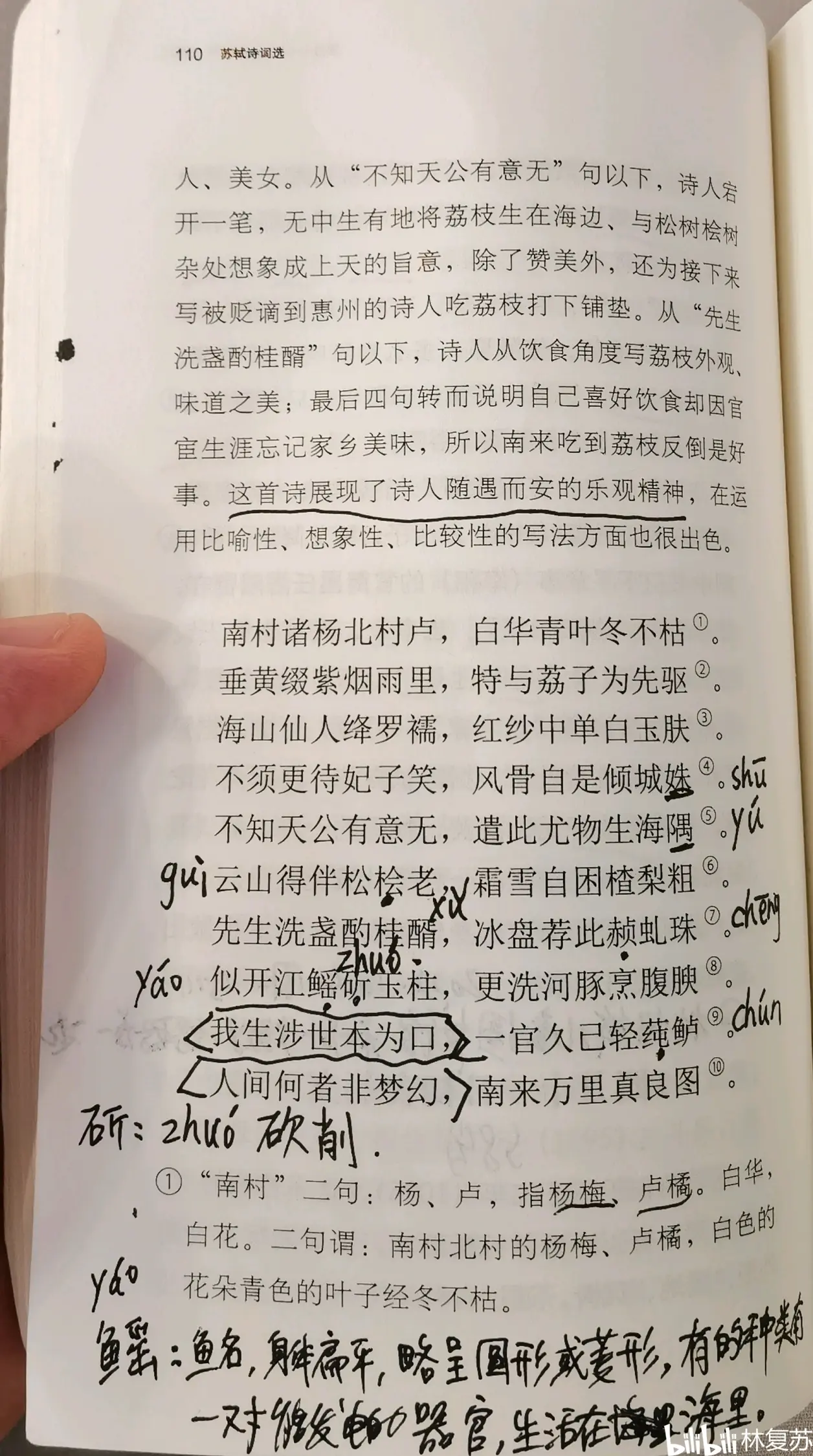 苏轼《四月十一日初食荔支》|我生涉世本为口 | 人间何者非梦幻