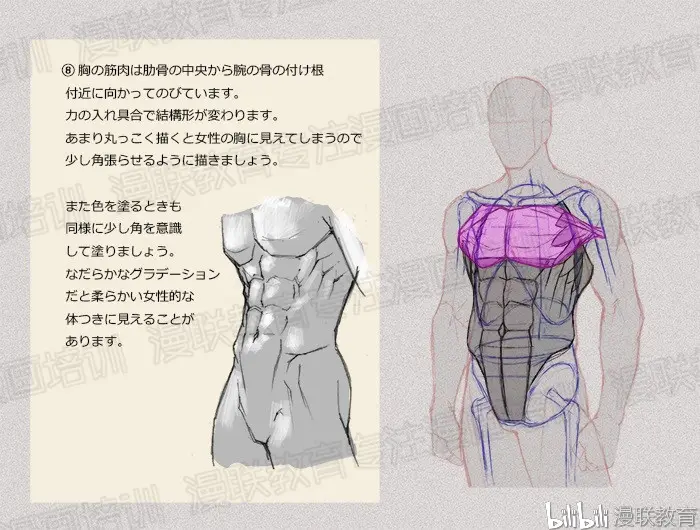 绘画教程 如何正确掌握绘画人体结构 下篇 哔哩哔哩