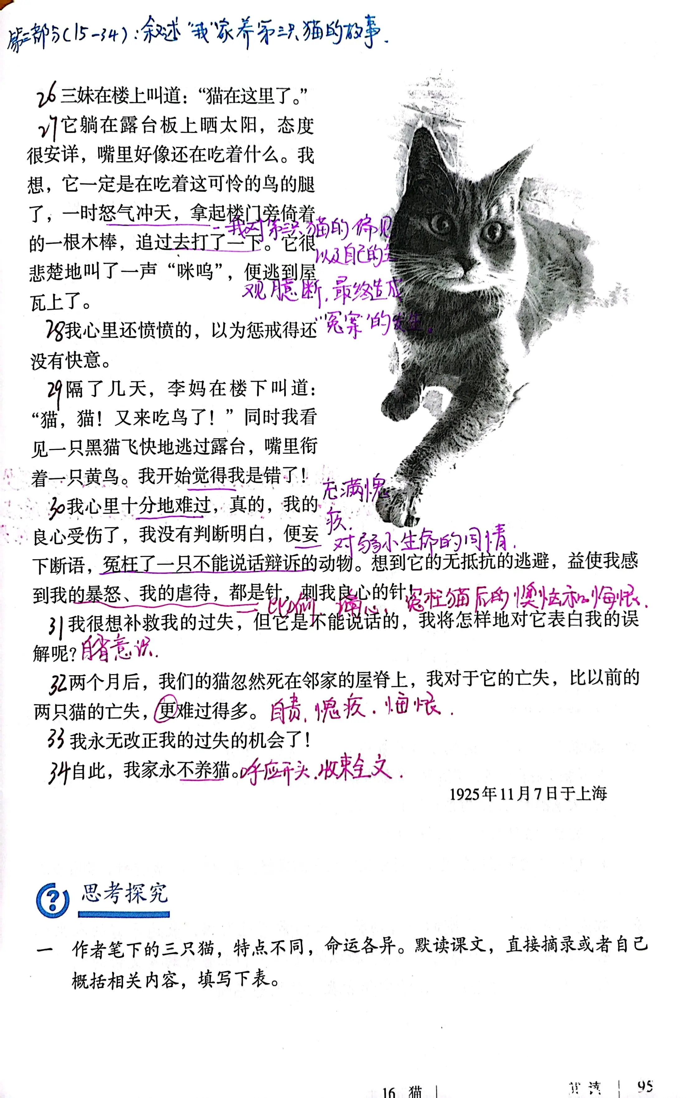 初中学习笔记,七年级上册语文16猫,课文分析,课本笔记 - 哔哩哔哩