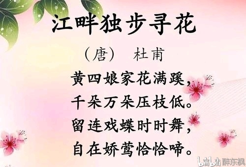 拿着酒壶,从花丛中走过——认识别样的杜甫