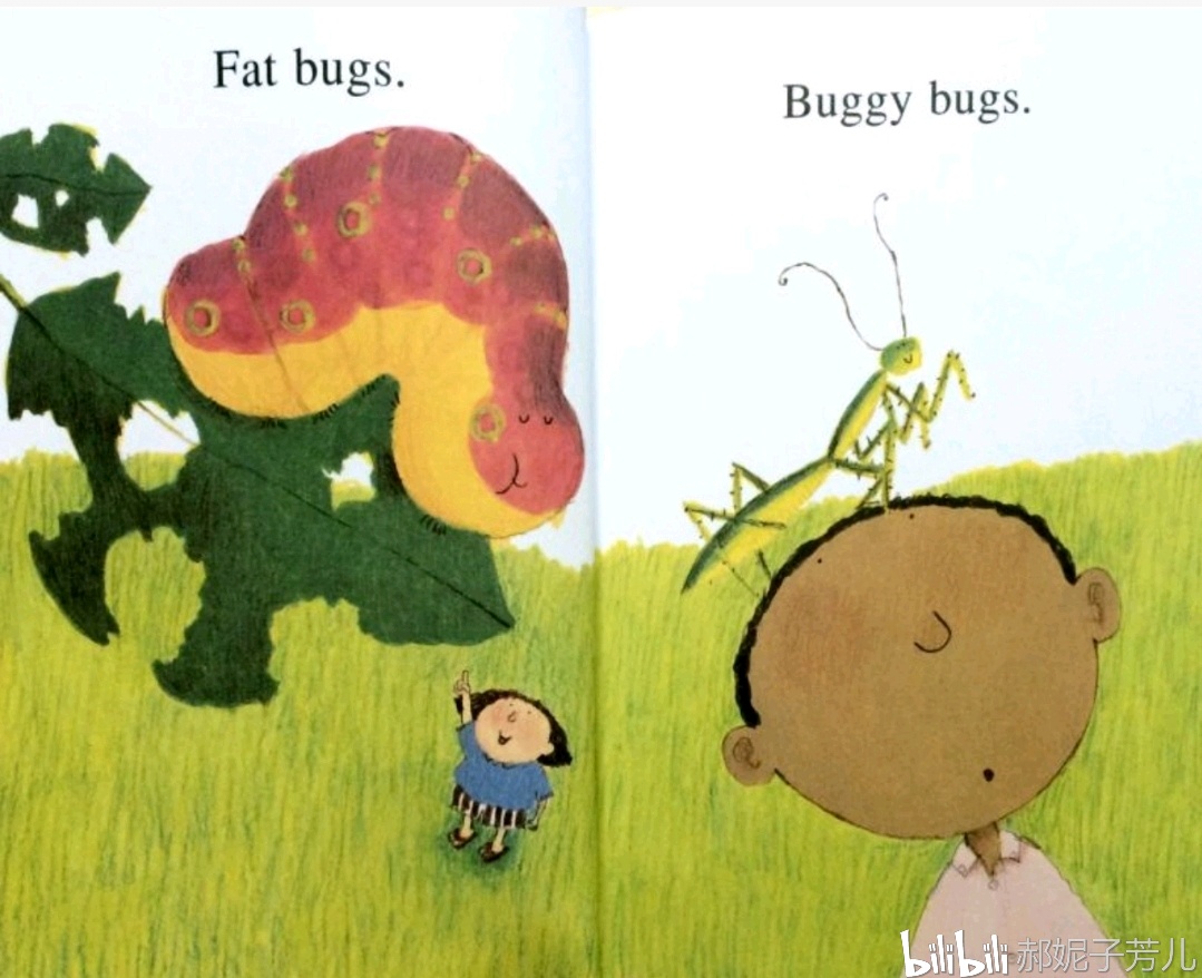 fat bugs.buggy bugs. 我喜欢胖胖的昆虫,还有淘气的昆虫.