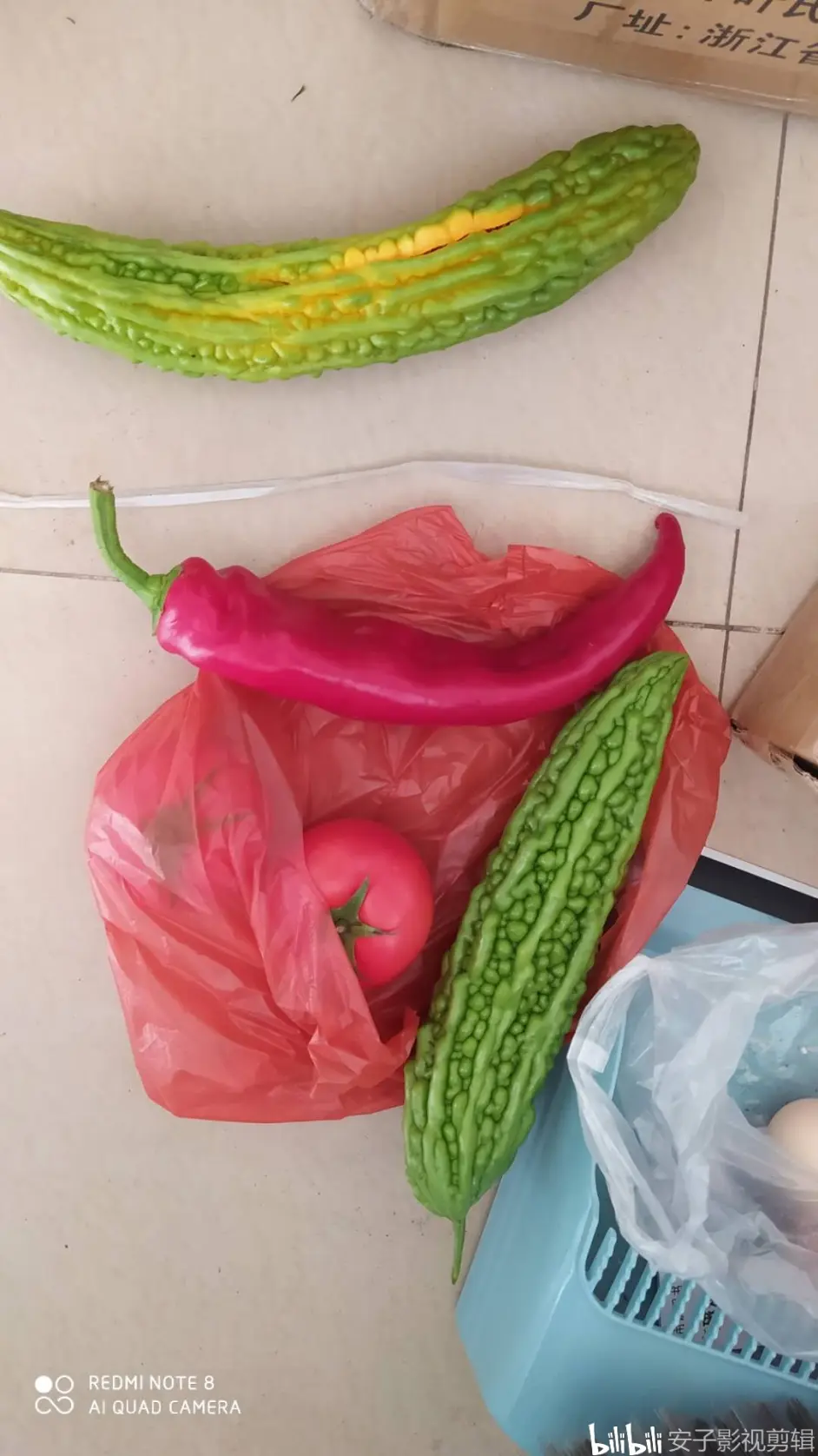 嗨 等下 苦瓜和番茄鸡蛋了解下 哔哩哔哩