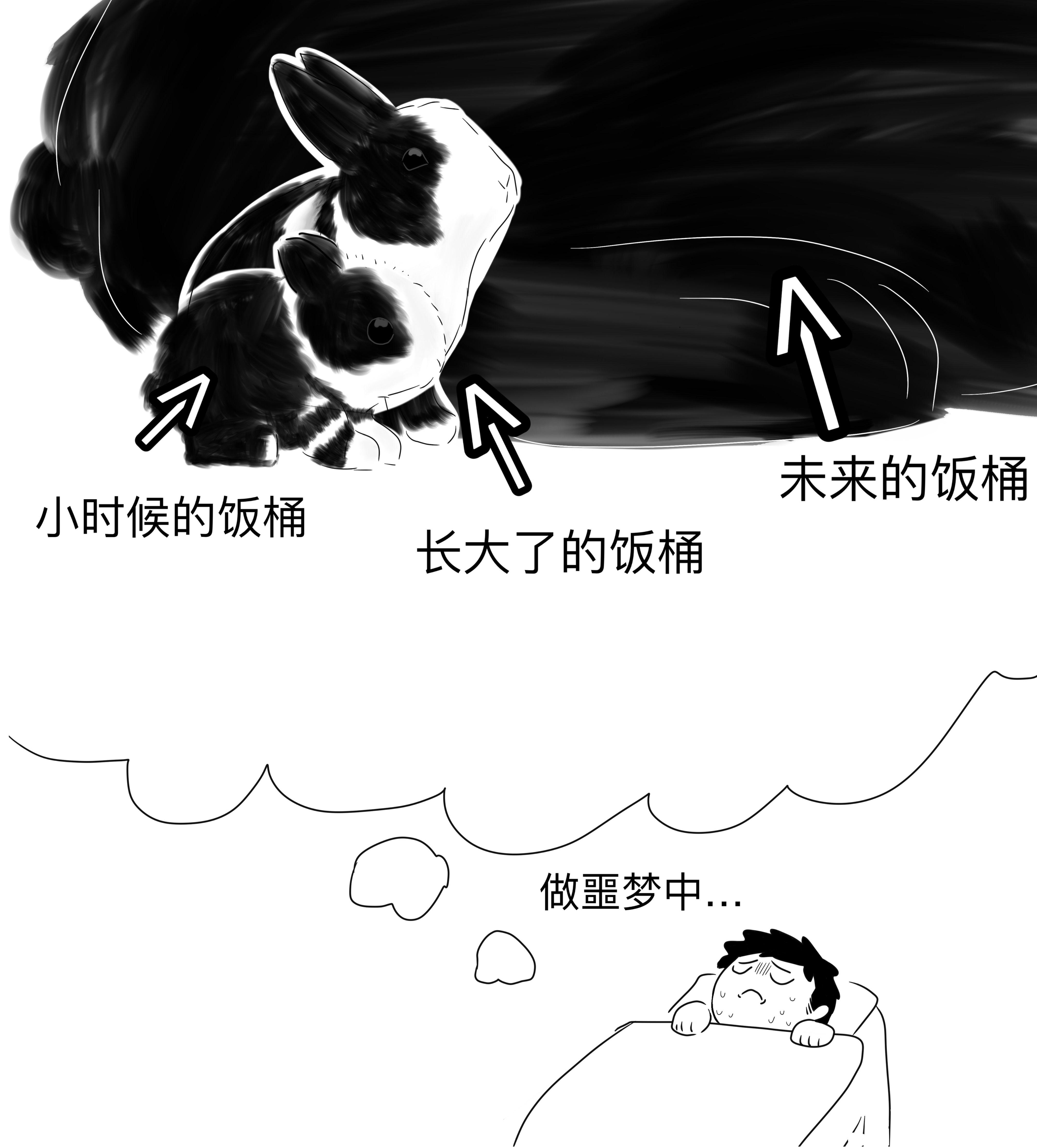 My Image 52